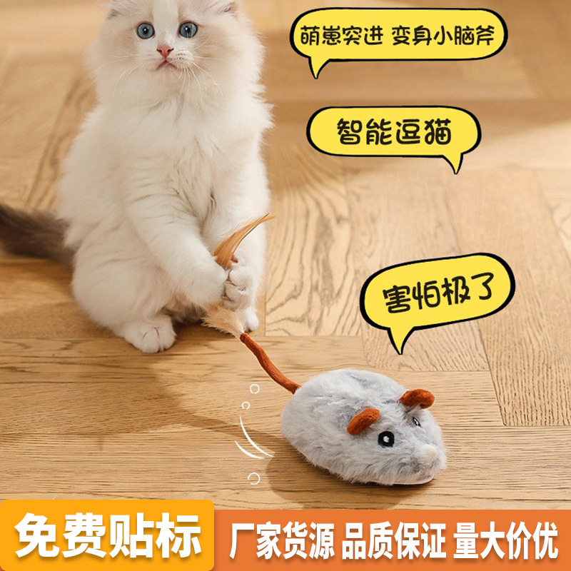 猫咪自嗨解闷电动小老鼠逗猫玩具猫咪用品大全耐咬逗猫球宠物玩具,宠物/宠物食品及用品,猫狗特色玩具,淘宝优惠券,粉丝福利购,淘宝优惠卷