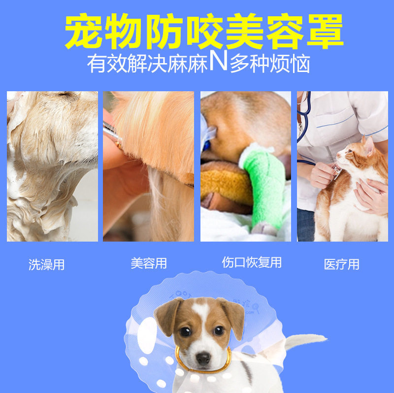 金色PU皮包边宠物伊丽莎白项圈 防舔 美容 手术后恢复宠物用品,宠物/宠物食品及用品,宠物伊丽莎白圈,淘宝优惠券,粉丝福利购,淘宝优惠卷