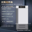光照培养箱 实验室 人工气候培养箱 恒温培养箱