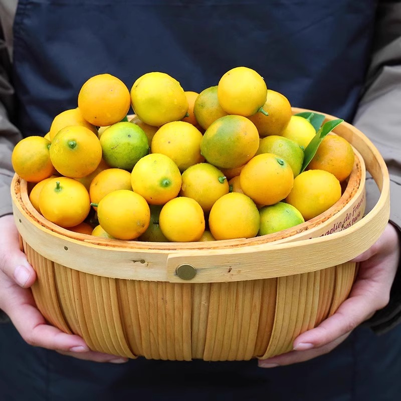 融安滑皮小金桔新鲜水果润肺冰糖心桔子柑橘头茬现摘整箱包邮