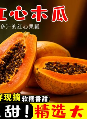 【海南溯源专场】海南红心木瓜新鲜水果树熟个大香甜软糯需催熟