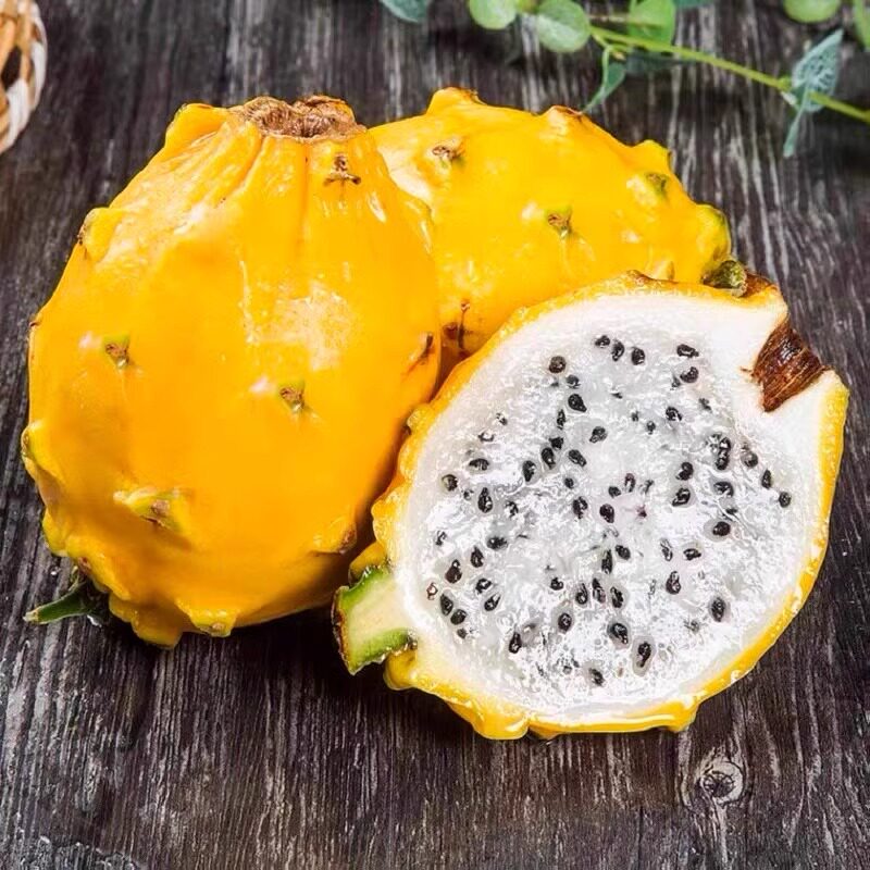 海南燕窝果麒麟果稀有高端水果2斤礼盒装京东快递