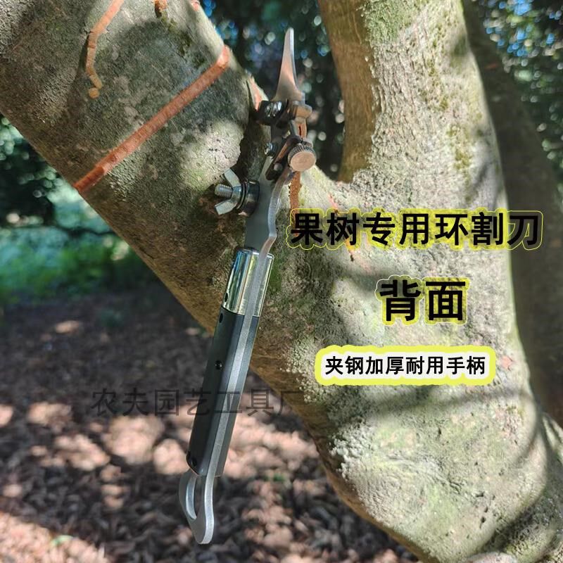 SK5锰钢材质环剥刀枣树环剥工具剥皮刀割树皮果园林果树环割刀
