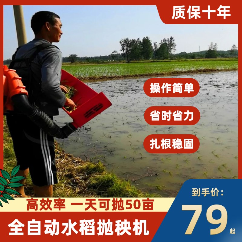 电动水稻抛秧播种器全自动小型水稻插秧机抛秧盘农村农用家用稻田