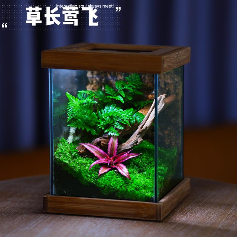 生态瓶可养鱼养蟹生态缸创意办公室桌面苔藓微缩景观盆景绿植送礼