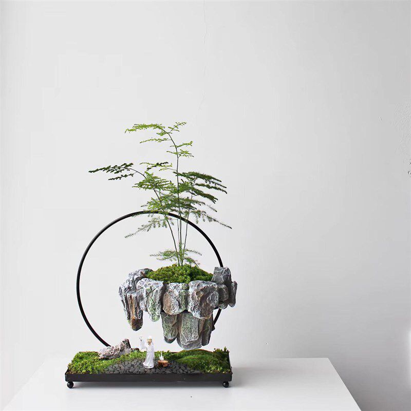 文竹盆栽悬浮绿植发财树室内玄关艺术摆件办公室桌面微景观盆景