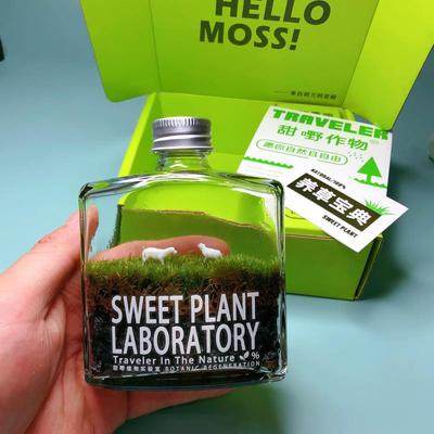 苔藓威士忌微景观摆件苔藓瓶子室内桌面创意绿植物生态瓶生日礼物