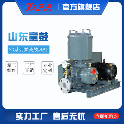 山东章鼓  SSR-K系列新型节能罗茨鼓风机