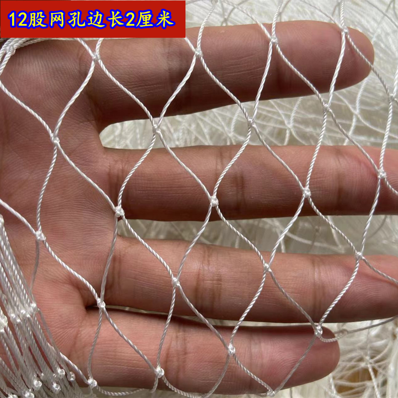 定制12股2厘米尼龙网拉网拖网抬网渔网片防鸟网清塘网养殖网箱