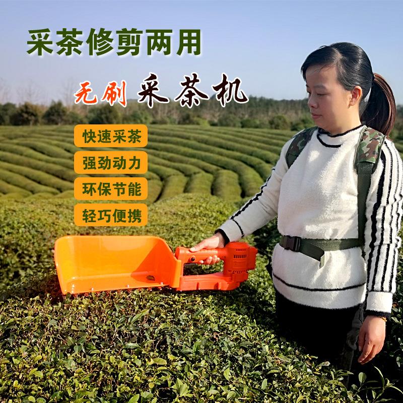 修叶剪两用无刷电充动采机茶场绿化单手茶茶修剪机电动绿篱机