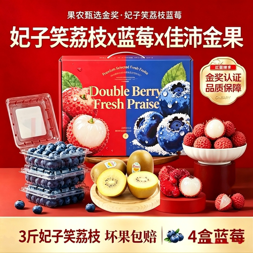 妃子笑荔枝蓝莓水果礼盒混搭新鲜水果组合高端水果春节团购礼盒