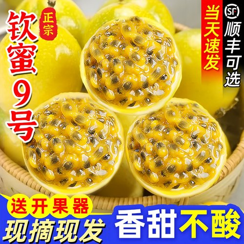 颜小荭广西钦蜜9号黄金百香果直