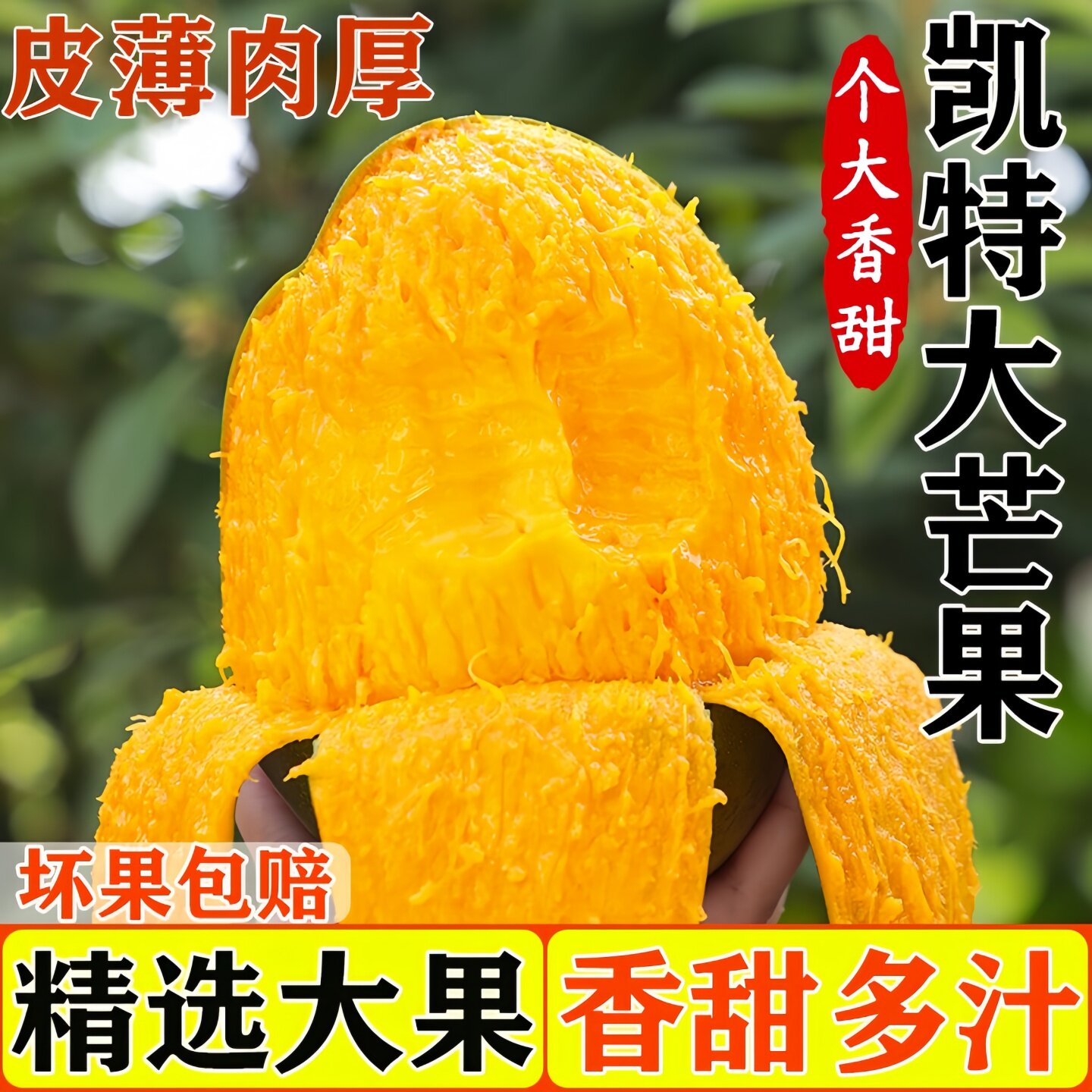 颜小荭新凯特芒大芒果