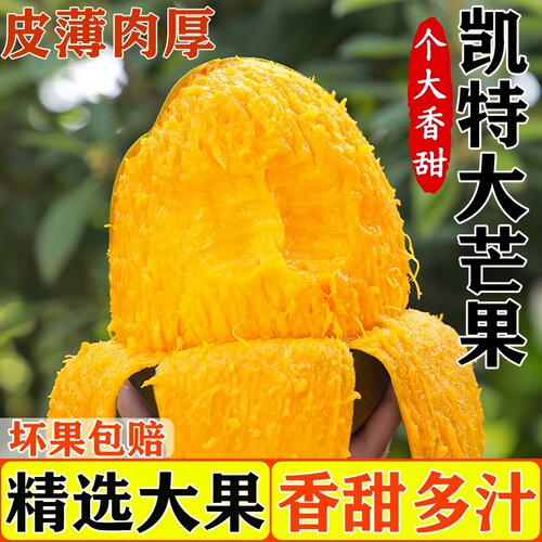 颜小荭新凯特芒大芒果