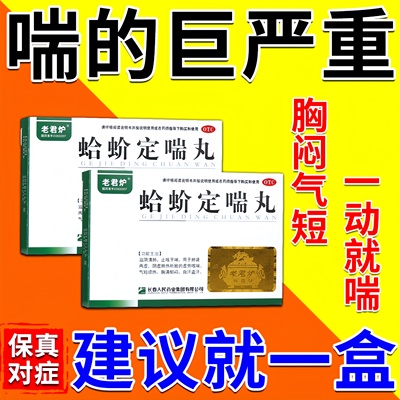 蛤蚧定喘丸 清肺化痰止咳平喘药 肺热胸闷气短呼吸不畅喘不上气