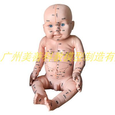 身体穴位经络图中医小儿推拿按摩书教学月嫂培训娃娃模型宝宝保健