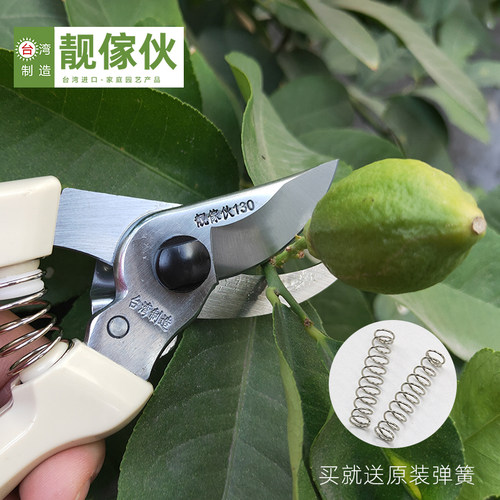 台湾靓家伙130园艺修枝剪盆景工具 修花剪子省力粗枝修剪果树剪刀