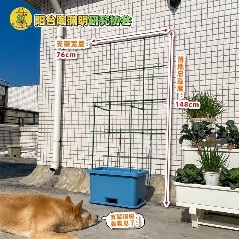 种番茄的盆种黄瓜花盆阳台种菜盆种菜专用箱种植箱种蓝莓西瓜南瓜