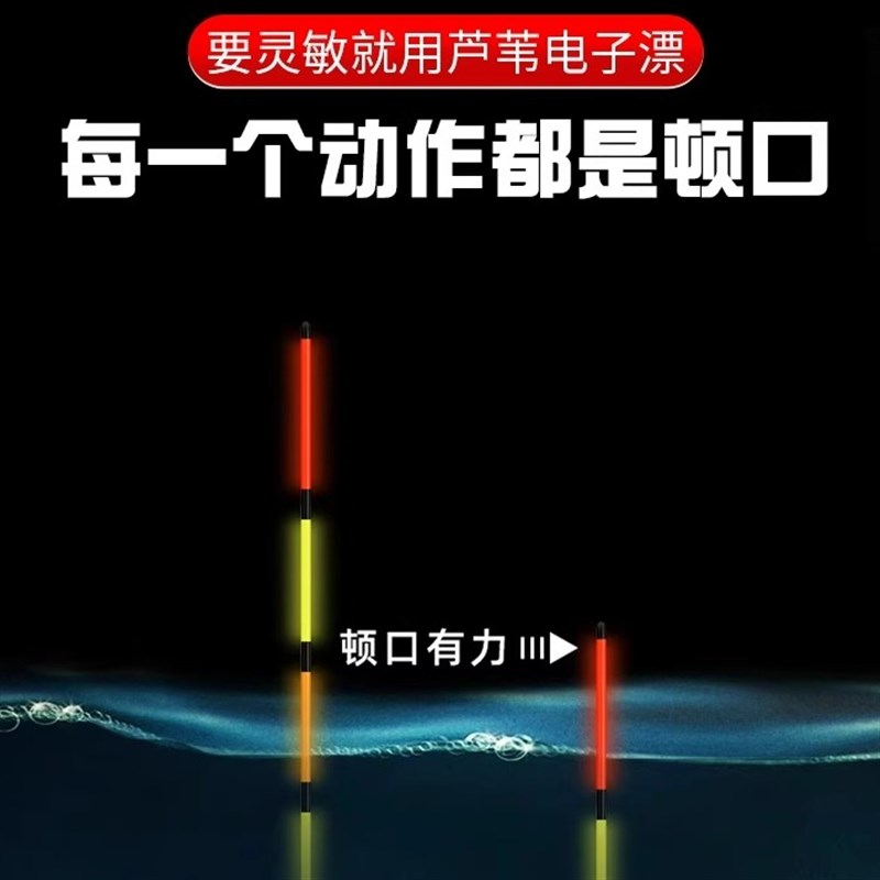 船长芦魂芦苇电子漂硬尾夜光漂日夜两用高灵敏度流氓夜钓浮漂鱼漂