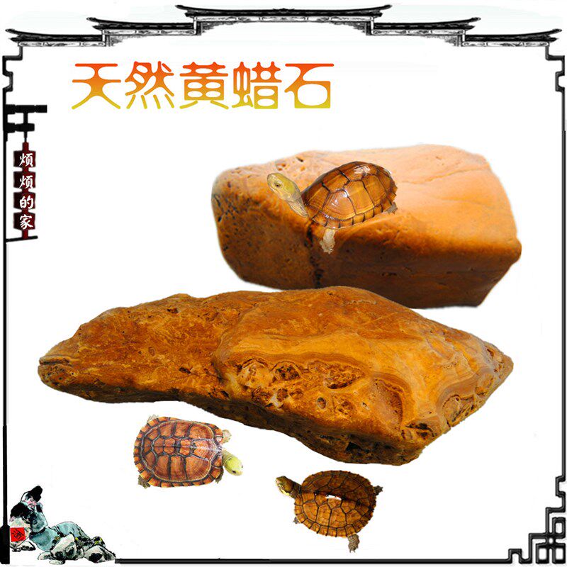 乌龟晒台天然黄蜡石大高腊石头鱼龟缸造景装饰黄缘龟爬坡晒背发色