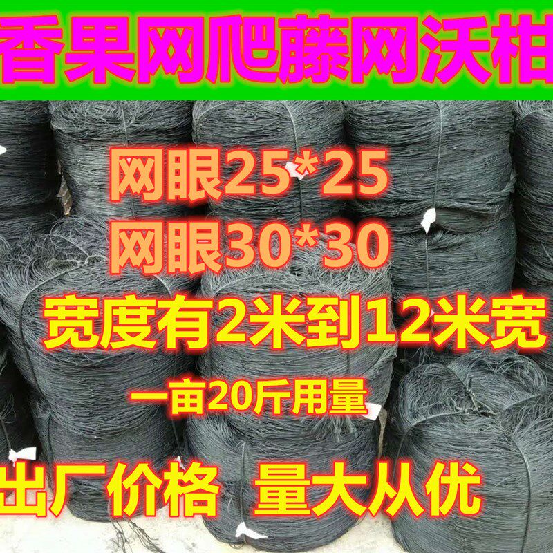 百香果网百香果搭架专用爬藤网棚架网搭棚网架子网瓜果沃柑吊果网