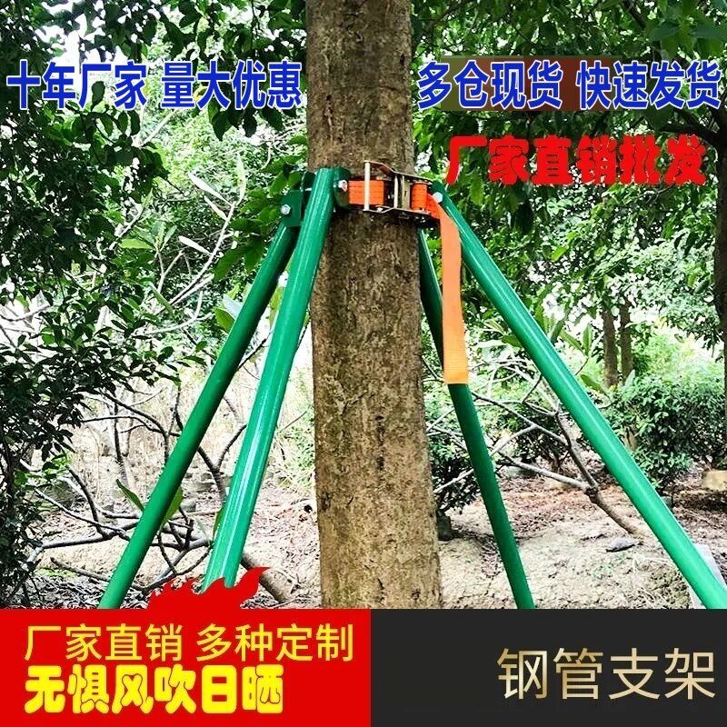 四角固定钢管树木支撑架 防风园林绿化树苗固定支架