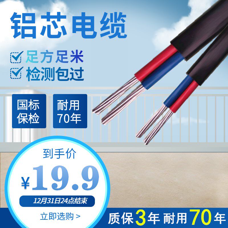 国标铝线电线铝芯线户外防老化2芯电缆线4 6 10 16 25平方室外线