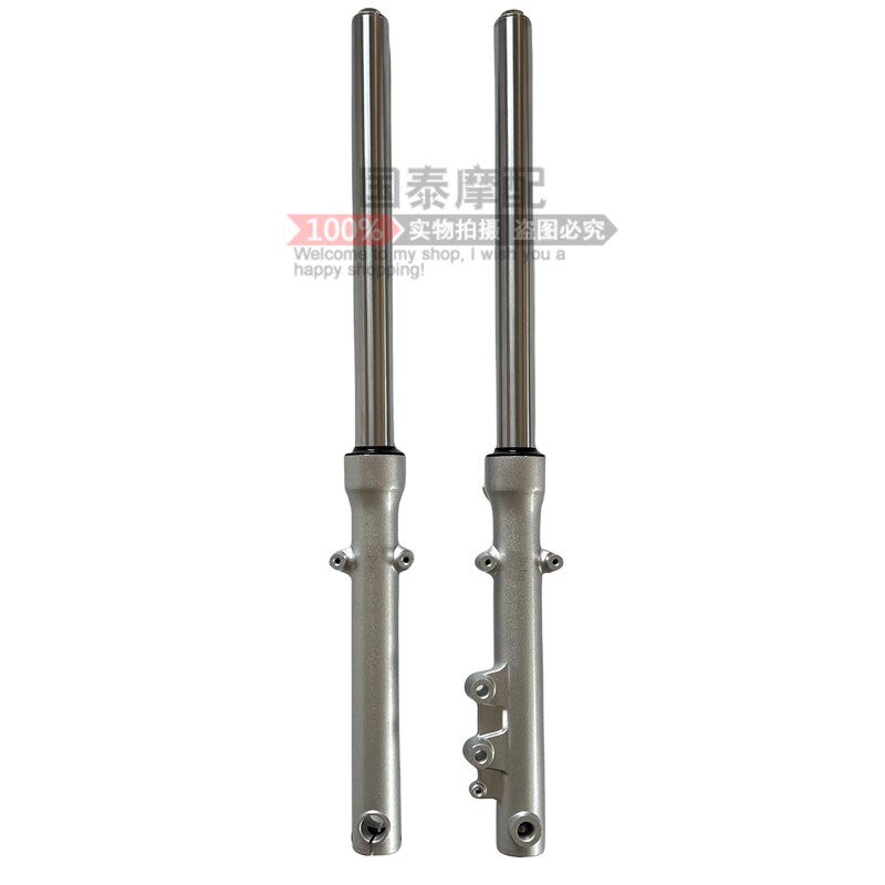 适用钱江风暴太子摩托车QJ150-3A QJ150-3B-18F前减震前叉避震器