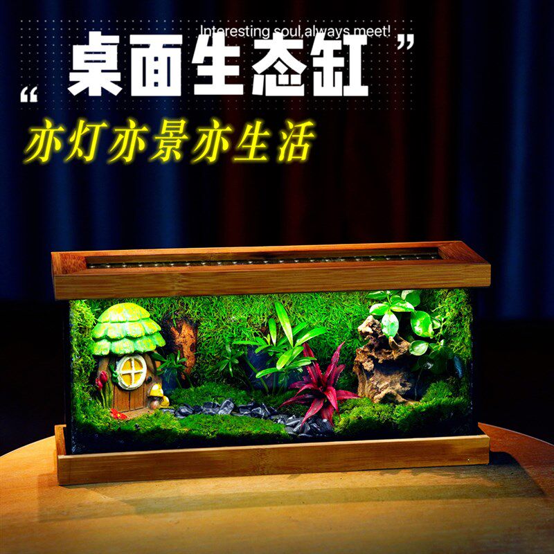 桌面生态缸迷你绿植室内盆栽生态瓶苔藓微景观装饰摆件送礼景观