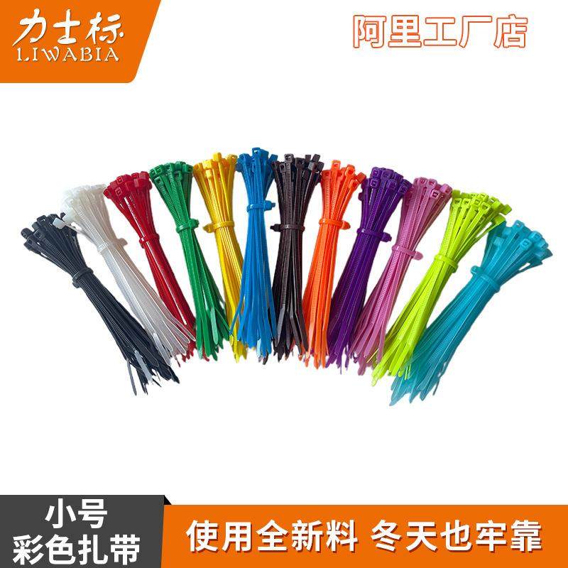 3*彩色束线带 棕橙紫粉红黄蓝色绿捆绑扎线带 塑料自锁式尼龙扎带