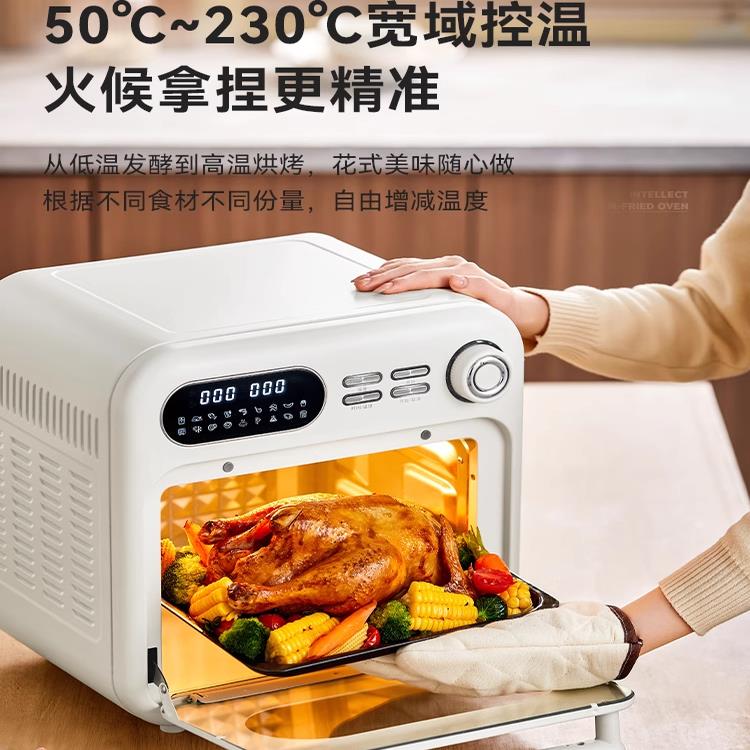 2025新款摩动新空气锅烤箱一体款烘焙家用烤小型多功能16L大炸容