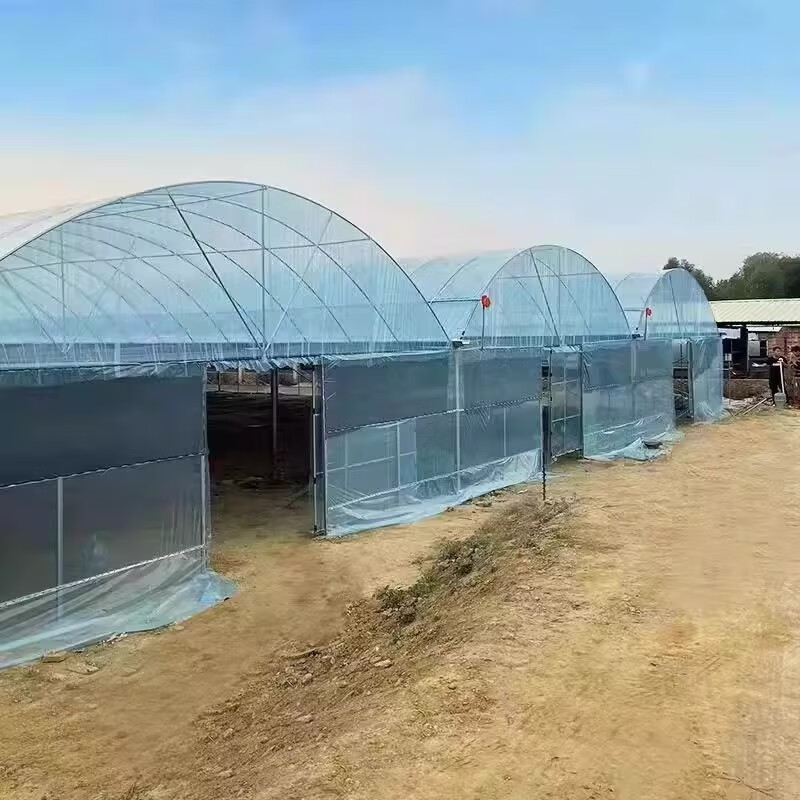 温室大棚热镀锌钢管骨架家用种植蔬菜大棚养猪椭圆管养殖大棚钢管