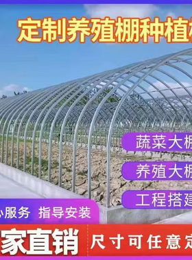 定制全套大棚骨架钢管温室养殖种植家用农用蔬菜椭圆连栋热镀锌棚