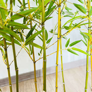 仿真竹子室内装饰假竹子隔断室外造景仿生竹子装饰竹子仿真竹绿植