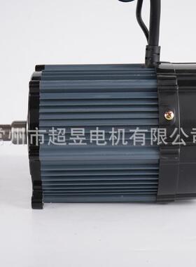 6厂ILM家永无刷直流电沙推磁车电机配件3V48V60V72V120动0W