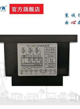 DXN-Q2高压带电显示检装置带自显示DXN-Q12器带核相带验电D1N-XT