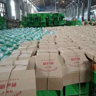 家销养殖电动切厂草机碎草机切红薯藤青菜76583直青碎草粉猪草机