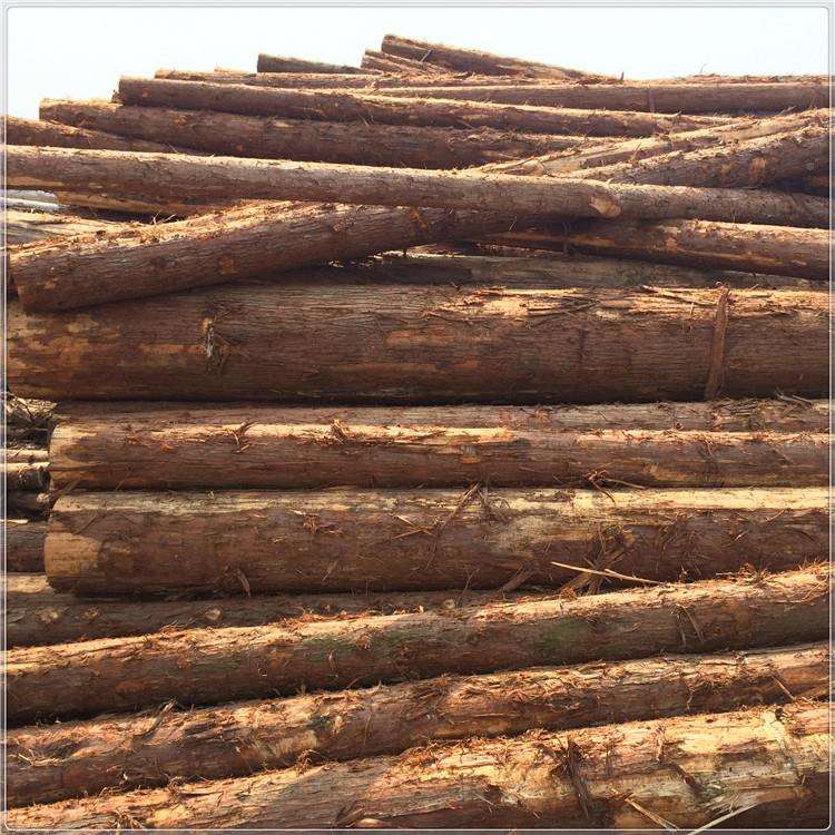 河道80围防汛工白松落叶松柳杉打程桩木防剥皮削尖腐圆木岸桩木料