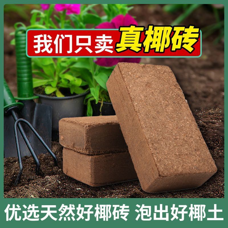 抢!【降价冲销量-买一送一】 椰砖营养土椰糠椰土养花种菜肥料M