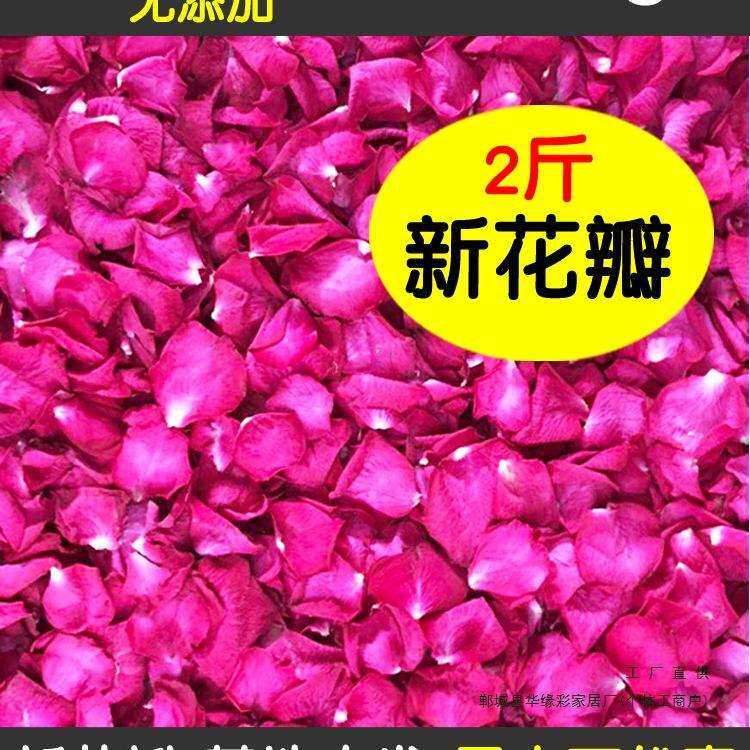 1000g新花2斤泡澡真玫瑰花瓣牛奶泡泡沐浴泡脚干花瓣足疗浴缸