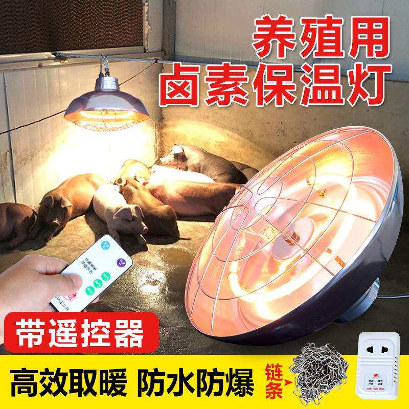养殖场用大号卤素保温灯猪仔雏鸡灯罩小猪暖灯取暖灯保温灯加热灯