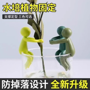 水培植物固定神器生长造型防倒伴侣扶正扶枝办公桌装饰园艺固定器