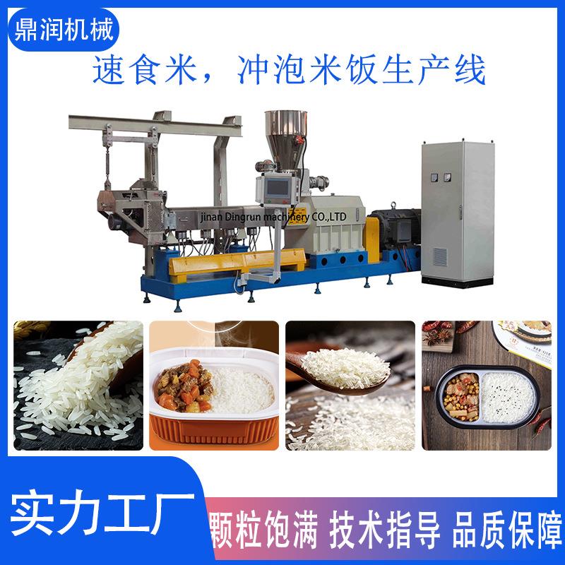 米营养米生产设备大产量造人米挤压DSE-95F膨化营养膨化机机生产