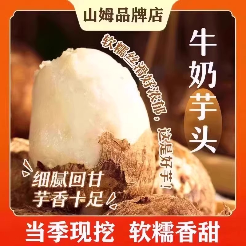 云南牛奶小芋头新鲜农家小香芋芋艿蘸糖C