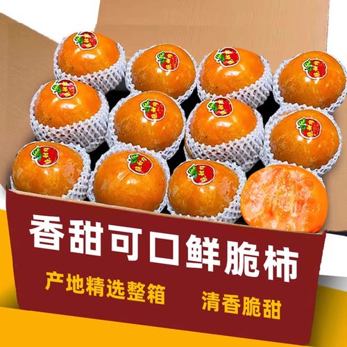 精选脆柿新鲜脆甜爽口新鲜水果脆甜硬柿子应季脆皮柿子甜脆柿力荐