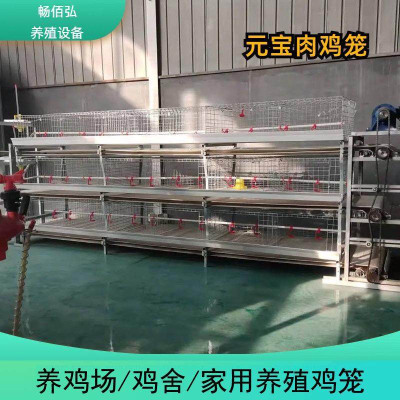 元宝笼养殖成年肉鸡笼全自动传送喂料清粪养殖厂鸡用养殖笼可外贸