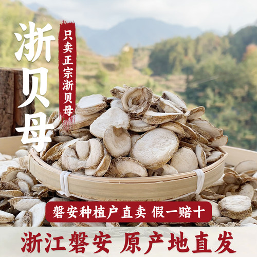 磐安浙贝母中药材贝母浙贝浙贝片浙贝粉象贝大贝土贝非野生250g克