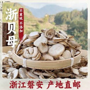 磐安浙贝母中药材贝母浙贝浙贝片浙贝粉象贝大贝土贝非野生250g克