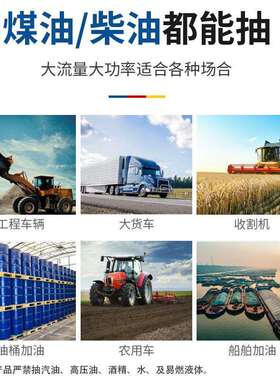 12V212V24V224V220V小型型直流抽油泵油加泵电动油机微机柴油自吸