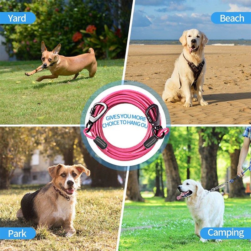 加长超长拴狗绳遛狗绳p加粗耐用狗狗牵引绳小中型大型犬防咬狗链